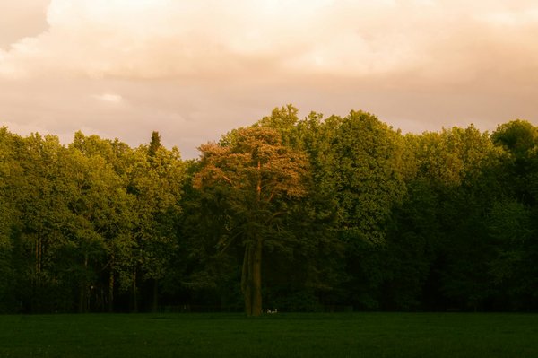 La liposuccion pour un visage plus fin : efficace ou pas ?