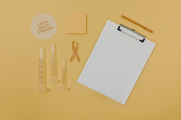 Alimentation équilibrée : les clés d'une vie saine et gourmande